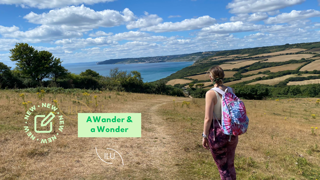 Wander and Wonder - Our picks