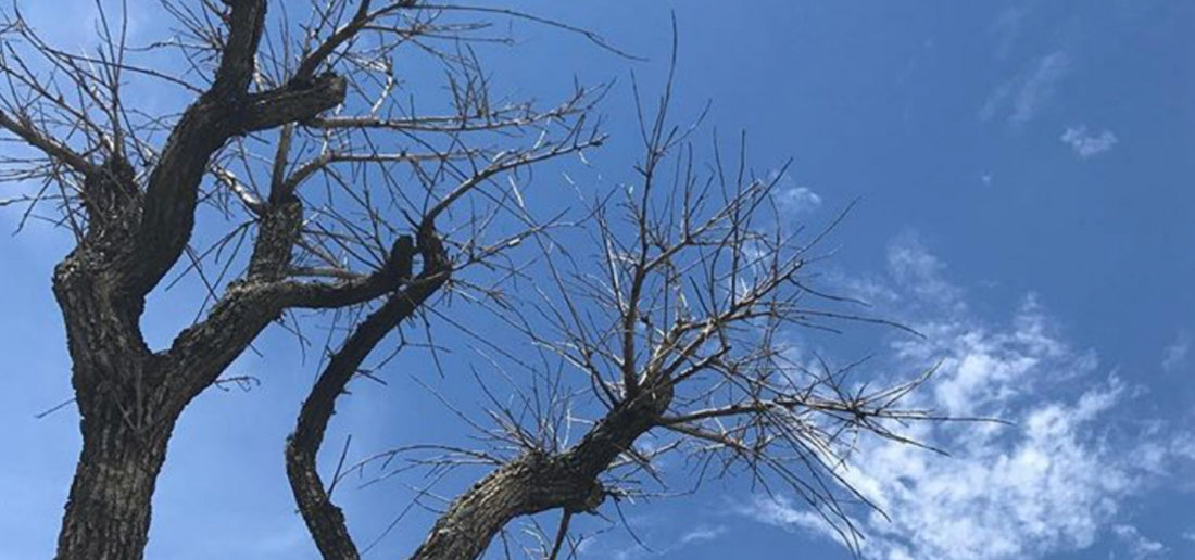 How to stay Zen when life gets stressful